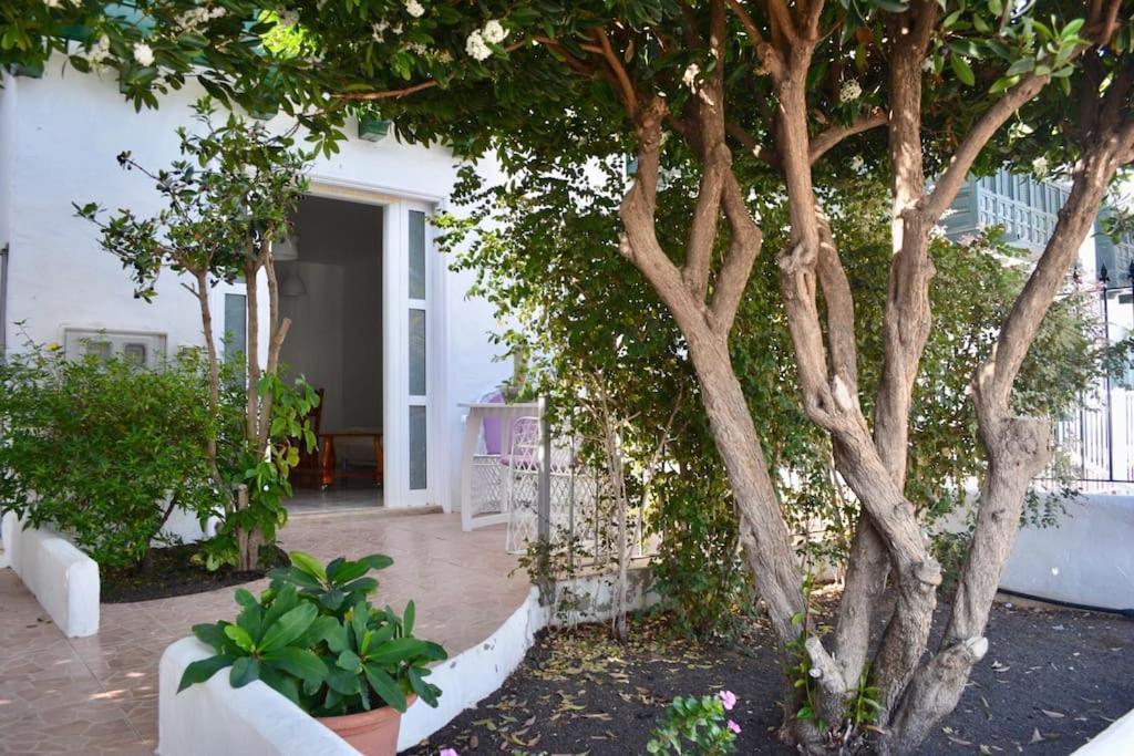Playa Chica Apt With Terrace 100 M From The Sea Puerto del Carmen  Exteriér fotografie